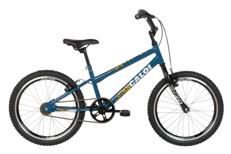 Caloi Expert 20